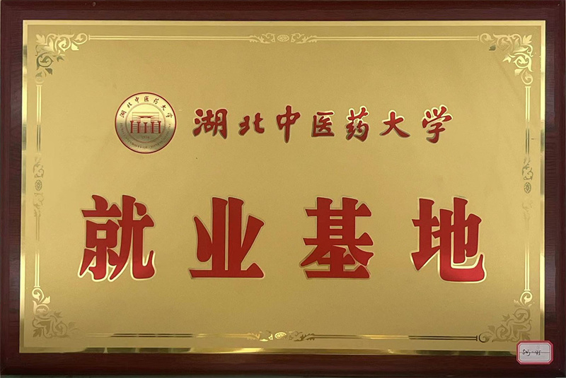 湖北中醫藥大學就業基地